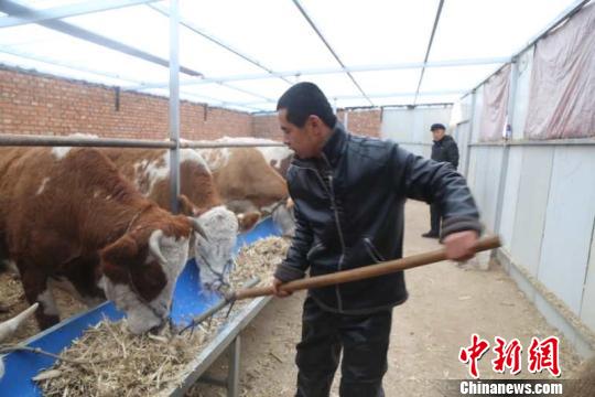 һ����85����ţ�޻��紴ҵ��