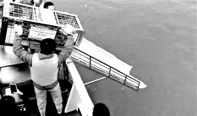 ���������һҳ