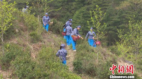 4��13�գ�����ɽ������ڲ�԰�ɲ衣������� ��