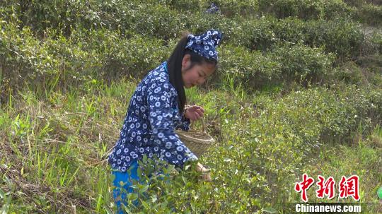 ��������ɽ���Բ������Բ踻ũ