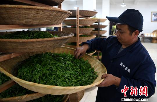 ̫ƽ���ӭ��ժ���ֹ��Ʋ���Ʈ����