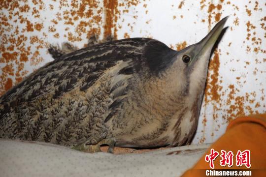 ͼΪ�ຣʡ�������������ݾ��ڼ�¼���Ĵ����Z����������� ��