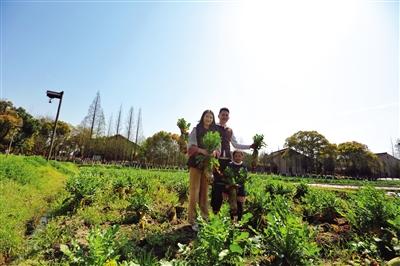 ���������һҳ