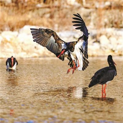 ���������һҳ