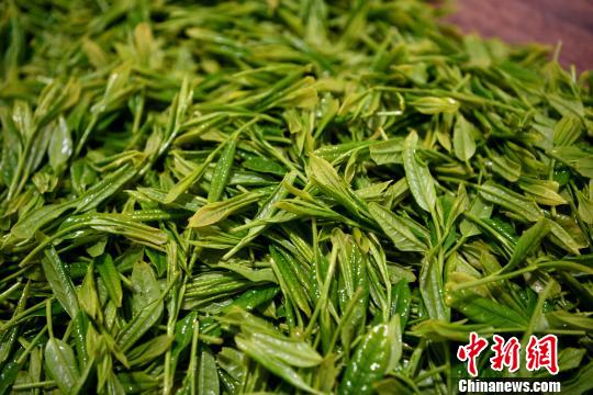 ��ũ��ժ��̫ƽ�����Ҷ��������ԭ ��