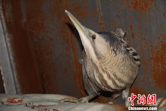 ͼΪ�ຣʡ�������������ݾ��ڼ�¼���Ĵ����Z����������� ��