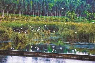 ���������һҳ