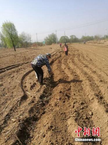 ���������һҳ