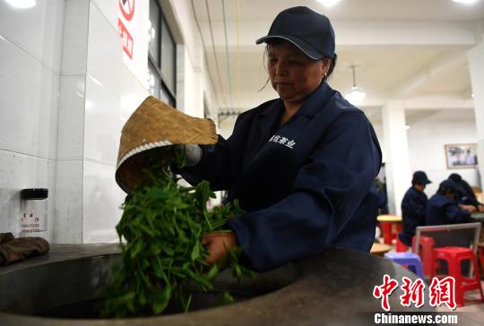 ��ũ��̫ƽ�����Ҷ���з�����������ԭ ��