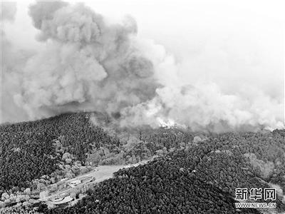 ���������һҳ