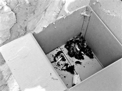 ���������һҳ