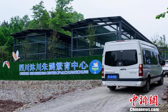 ����20�����q�ĳ��ִ��¼ҡ������� ��