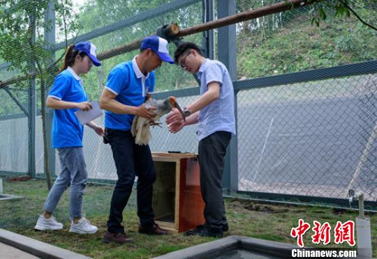 �Ĵ��崨20�����q�仧������18ֻ����������