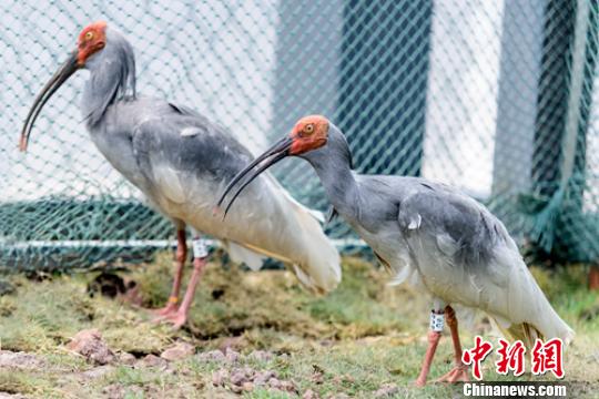 ��ס�崨�����q��������һ�����q�������� ��