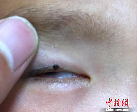 �ݵ�����������������к���ë��϶