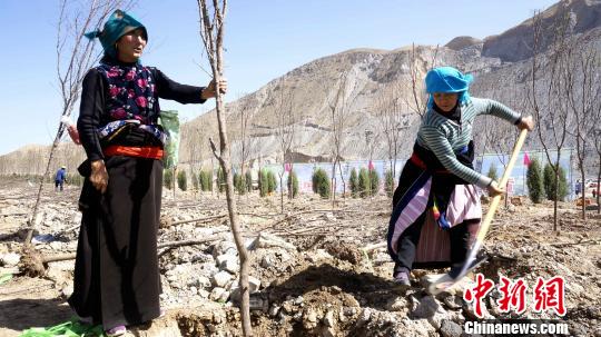 ͼΪ���ڹ�ֲ�������Ž��֡����������� ��