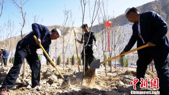 ͼΪ���ڹ�ֲ�������Ž��֡����������� ��