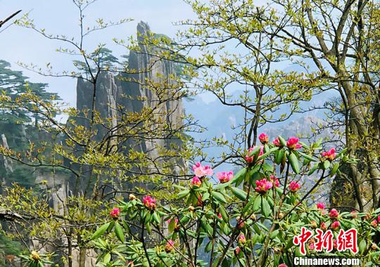 ��ɽ�ž����ɽ����ӳ�ġ������� ��