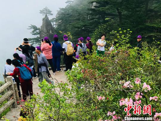 ����ʡ������ɽ�ž顱ʢ��