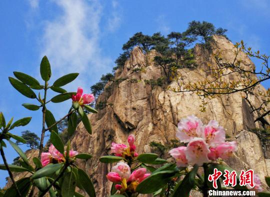 ������ӳ֮�»�ɽ�ž�ʢ���������� ��