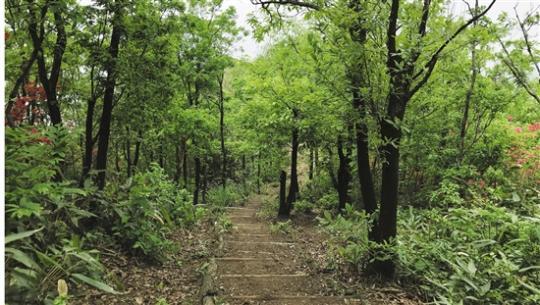 ���������һҳ