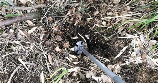 ���������һҳ