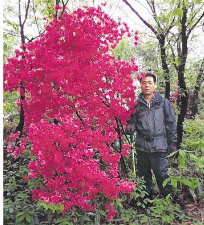 ���������һҳ