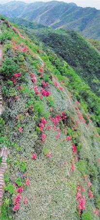 ���������һҳ