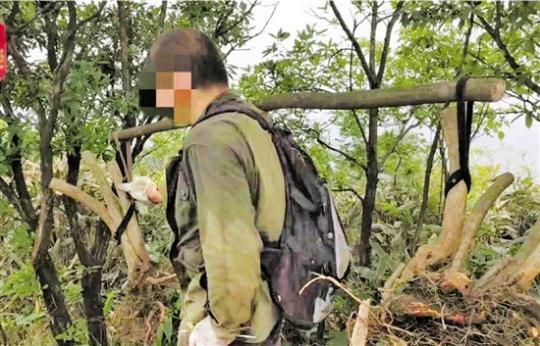 ���������һҳ