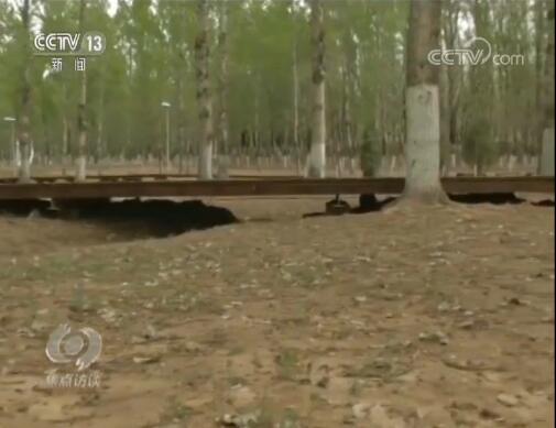 ���������һҳ