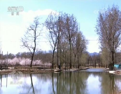 ���������һҳ