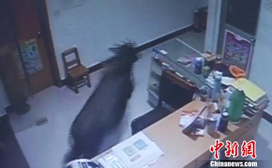 ͼΪ����Ƶ��ؼ�¼�µ����硣������ί�������ṩ