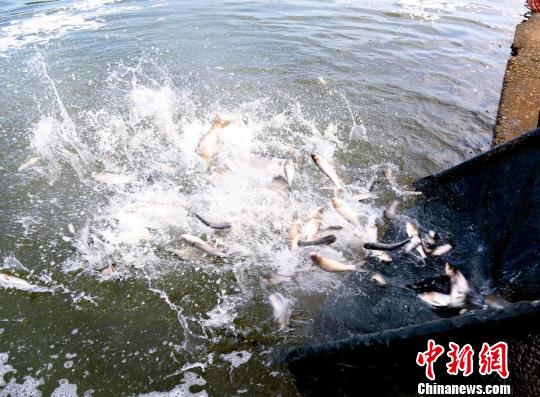 300��β����ͨ��������������С������� ��