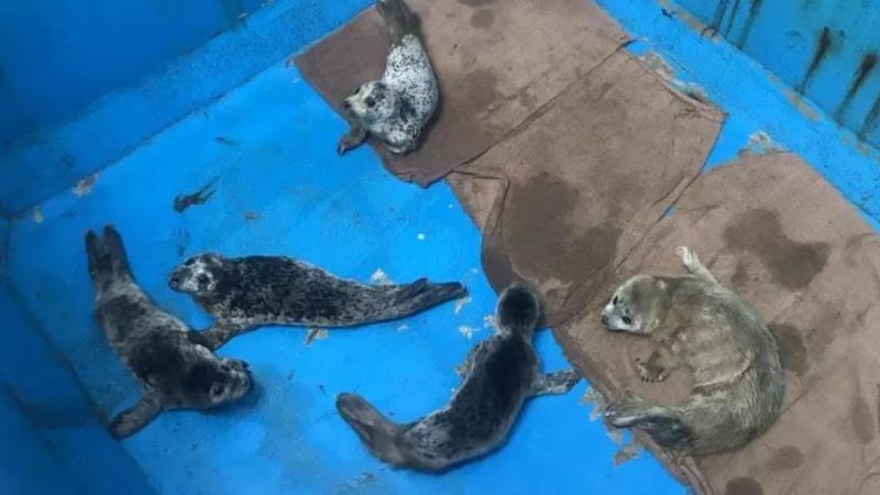 ���������һҳ