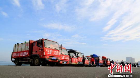 �����ʻ�����ĳ������������ںƽ����ߡ������� ��