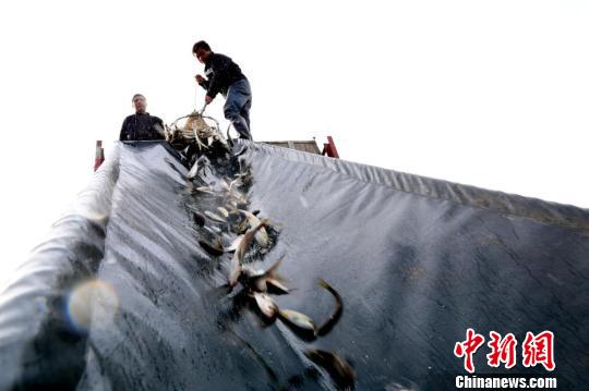 �����佭����300��β����Ϊ��ͥ������̬����