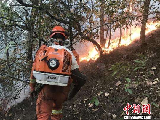 ͼΪ�����ֳ���������ʡɭ�������ܶӹ�ͼ ��