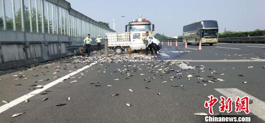 �㽭һС����ը̥��෭����˲���ɡ����㳡��