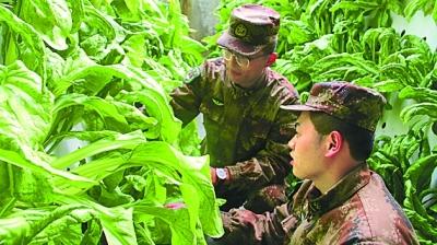 ���������һҳ