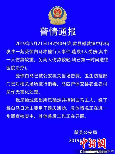 安徽歙县:一受惊白马闹市撞伤3人被当场击毙