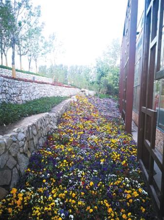 ���������һҳ