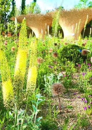 ���������һҳ