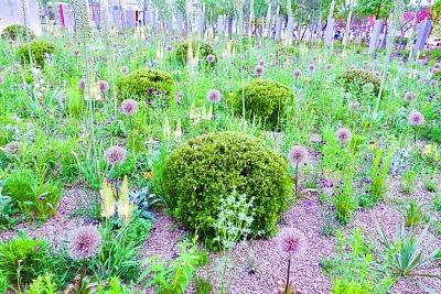 ���������һҳ