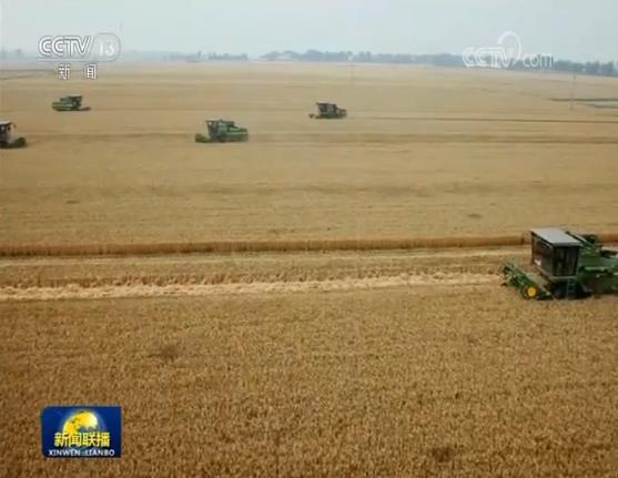 ���������һҳ