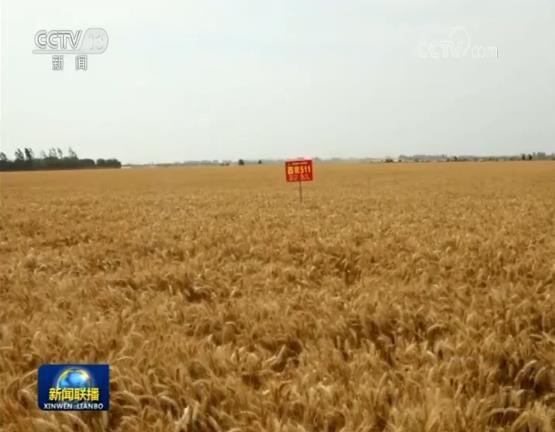 ���������һҳ