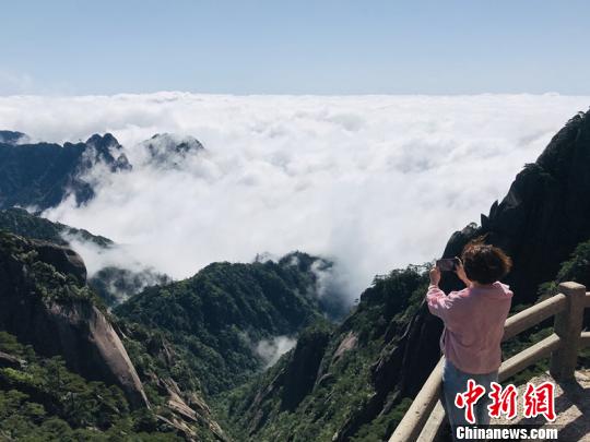 �ο����������Ϲۺ����ա������� ��