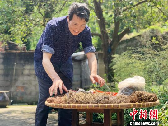 ͼΪ���㽭���š������С�������Բɲ�ҩ�С��ط��� ����ϼ ��