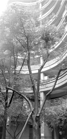 ���������һҳ