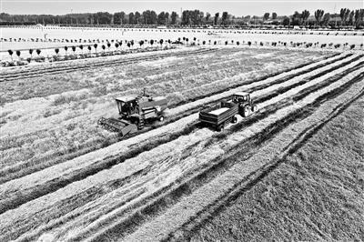 ���������һҳ