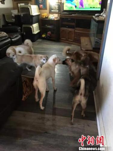 ���������һҳ